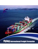 Air shipping agent and shipping forwarder in China