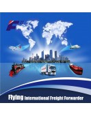 中国至世界各国际港口海运物流服务