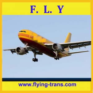 DHL express to USA Germany|China shipping courier|logistics