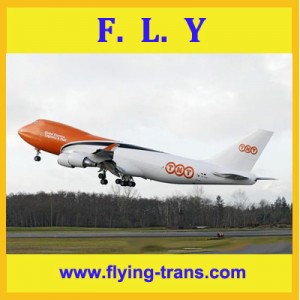 China cargo transportation agent of TNT courier to Germany